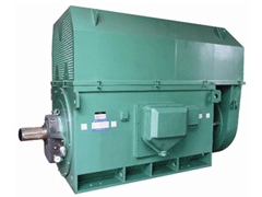 YE2-100L2-4Y系列6KV高压电机