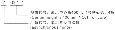 西安泰富西玛Y系列(H355-1000)高压YE2-100L2-4三相异步电机型号说明