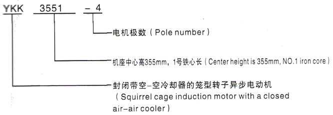 YKK系列(H355-1000)高压YE2-100L2-4三相异步电机西安泰富西玛电机型号说明