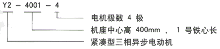 YR系列(H355-1000)高压YE2-100L2-4三相异步电机西安西玛电机型号说明